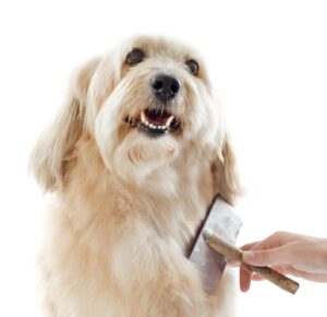 Professional de-shedding treatment